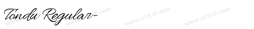 Tondu Regular字体转换 Tondu Regular字体转换